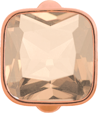 Big Rose Cube - Endless Jewelry Rose Gold Plated Sterling Silver Charm 61302-4