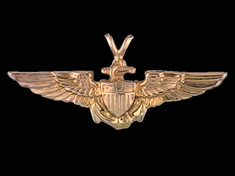 14kt Aviator Wing Pendant